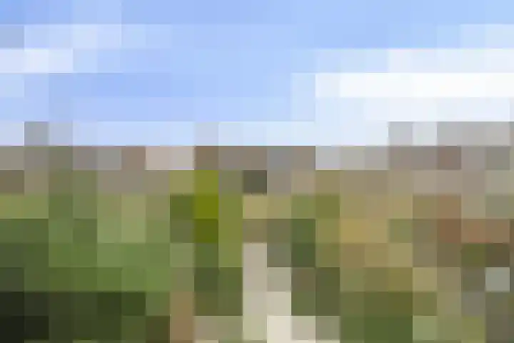 Trompweg 8 Voorschoten thumbnail 47