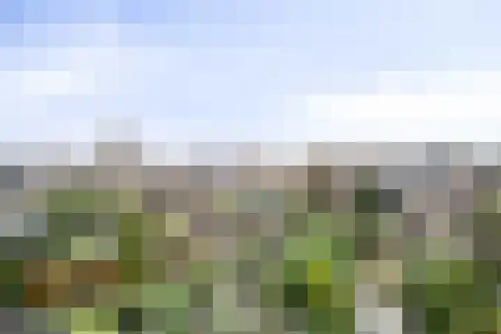 Trompweg 8 Voorschoten thumbnail 5