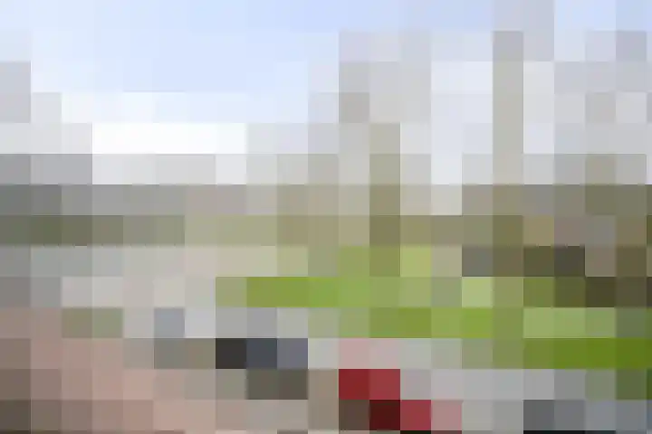 Trompweg 8 Voorschoten thumbnail 57
