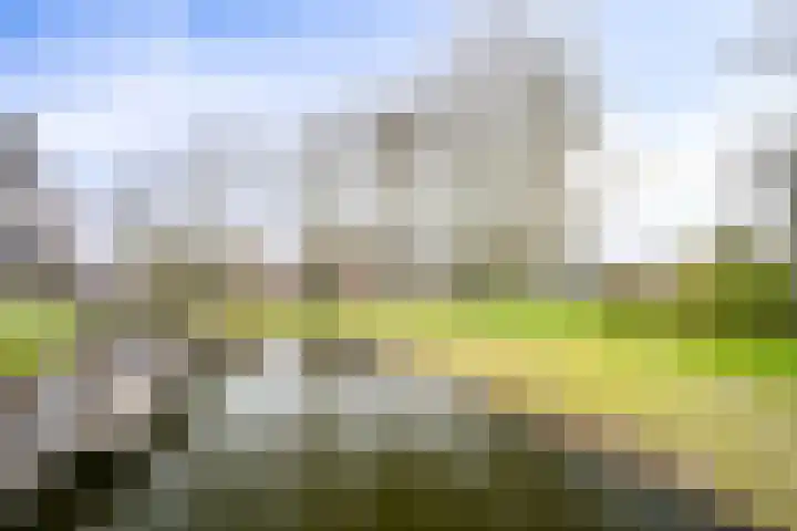 Trompweg 8 Voorschoten thumbnail 61
