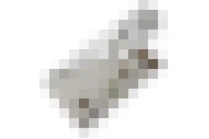 Trompweg 8 Voorschoten thumbnail 63