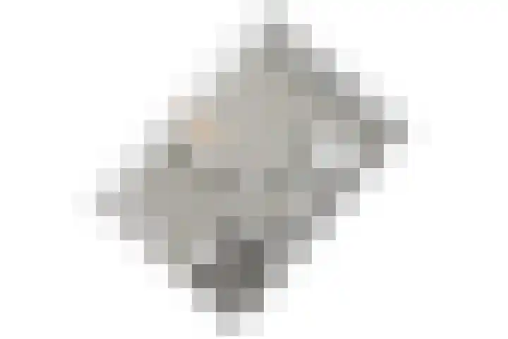 Trompweg 8 Voorschoten thumbnail 65