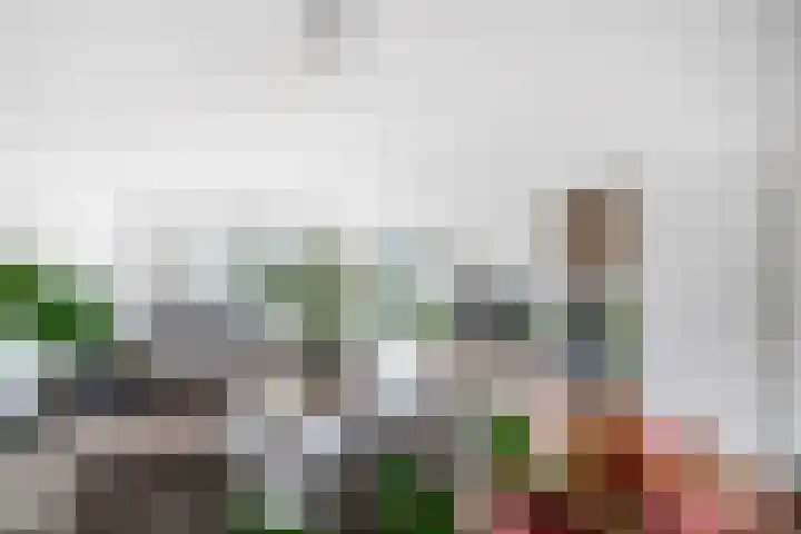 Trompweg 8 Voorschoten thumbnail 7