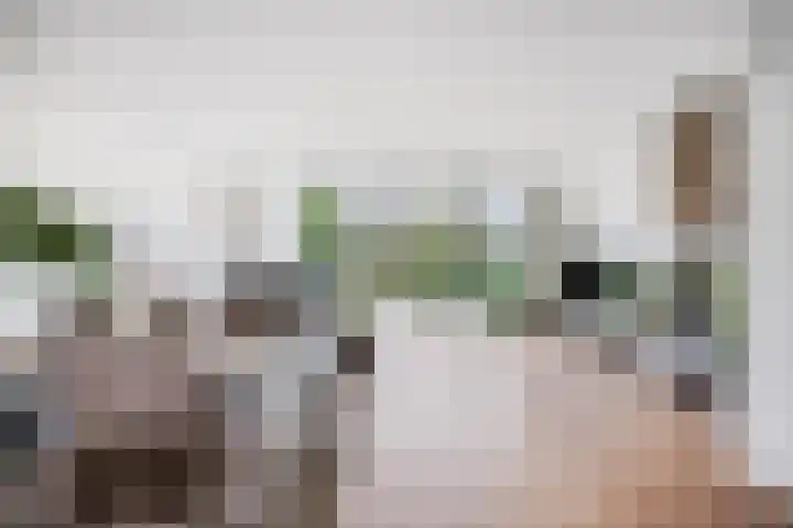 Trompweg 8 Voorschoten thumbnail 8