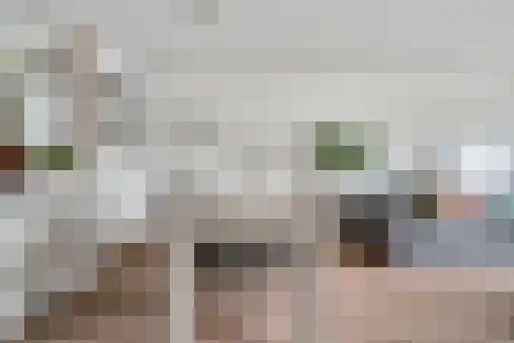 Trompweg 8 Voorschoten thumbnail 9