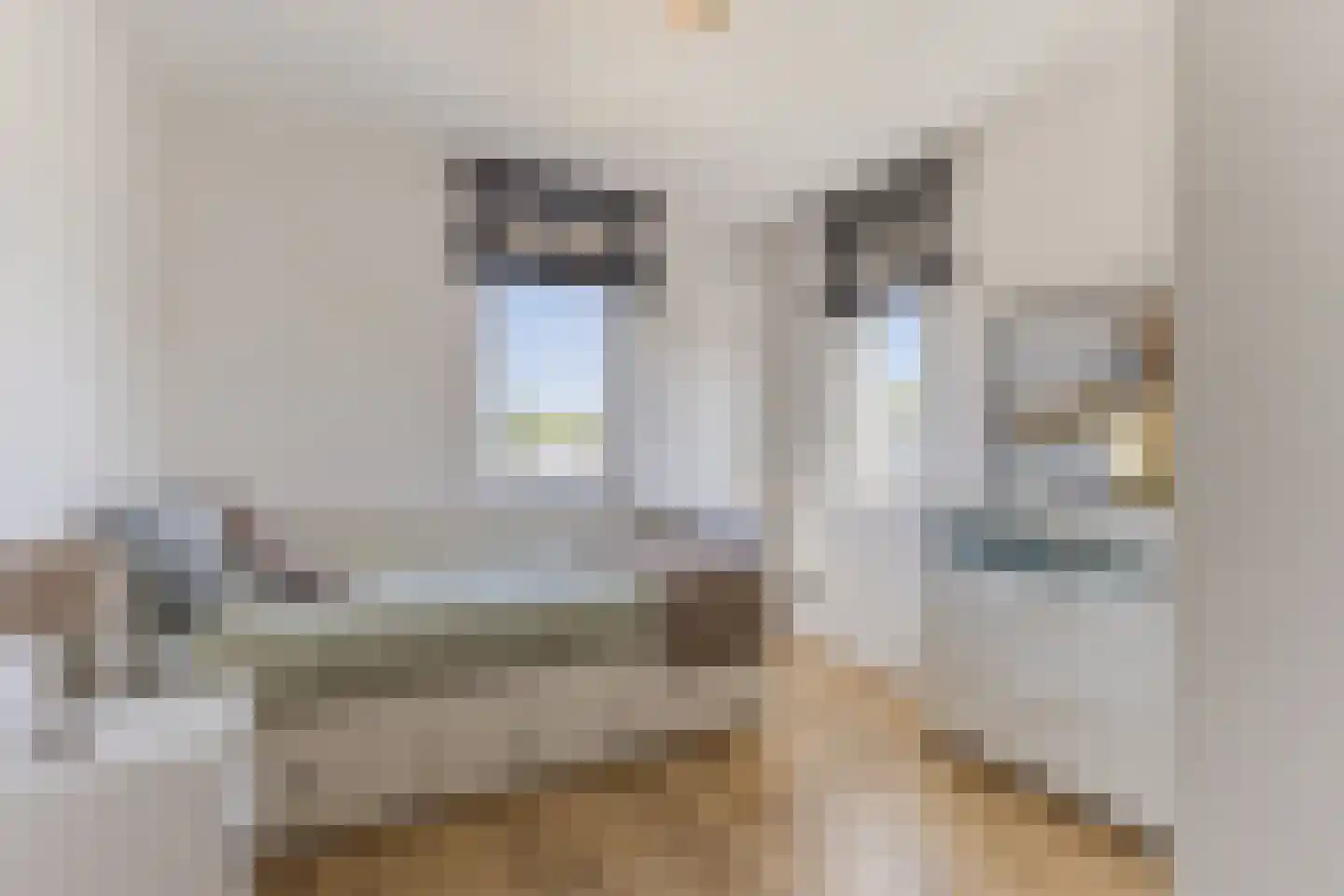 Tromsödreef 40 Rotterdam thumbnail 38