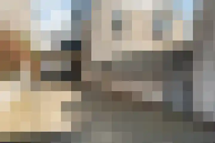 Tromsödreef 60 Rotterdam thumbnail 43