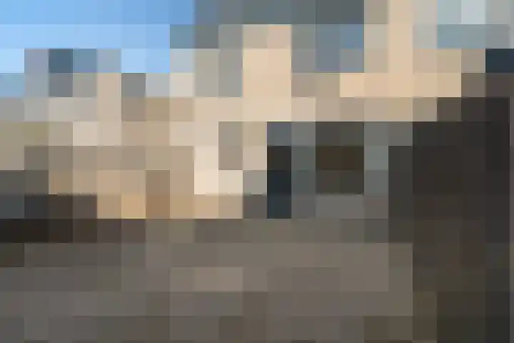 Tromsödreef 60 Rotterdam thumbnail 47