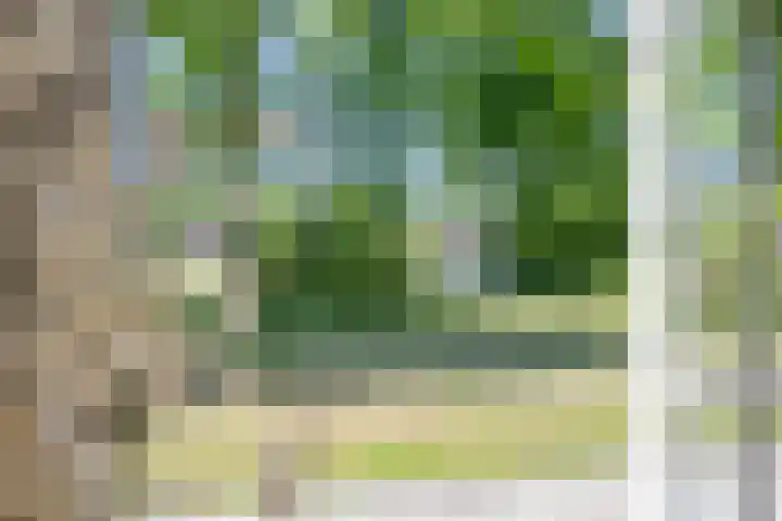 Tronderweg 3 Makkinga thumbnail 10
