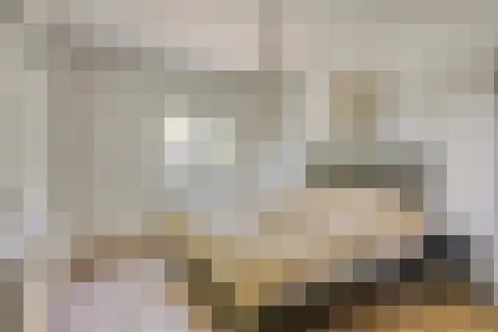 Tronderweg 3 Makkinga thumbnail 11