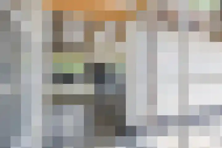Tronderweg 3 Makkinga thumbnail 16