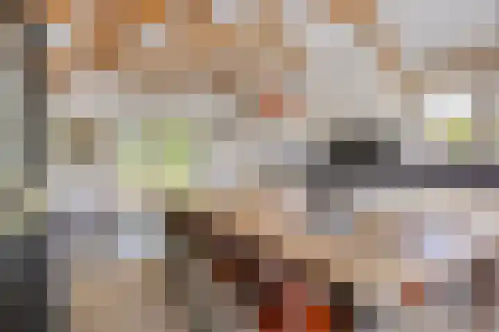 Tronderweg 3 Makkinga thumbnail 17
