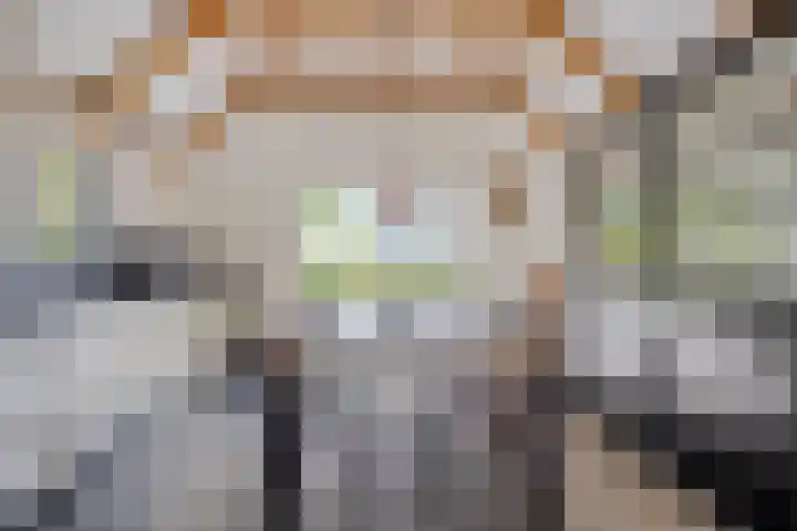 Tronderweg 3 Makkinga thumbnail 18