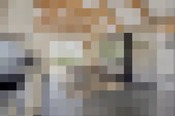 Tronderweg 3 Makkinga thumbnail 19