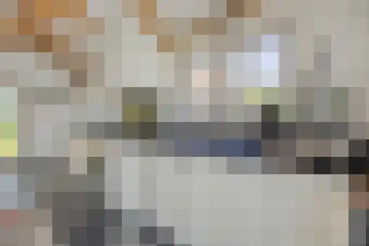 Tronderweg 3 Makkinga thumbnail 20