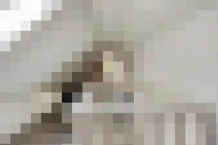 Tronderweg 3 Makkinga thumbnail 22