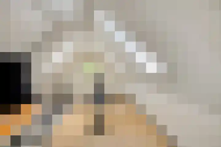 Tronderweg 3 Makkinga thumbnail 23
