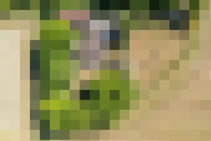 Tronderweg 3 Makkinga thumbnail 25