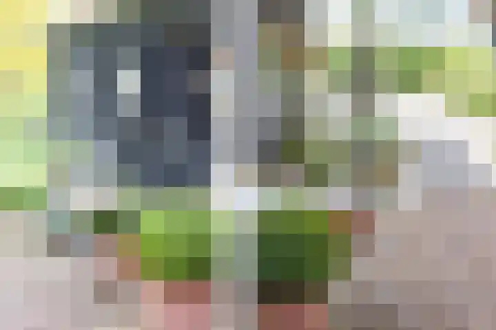 Tronderweg 3 Makkinga thumbnail 30