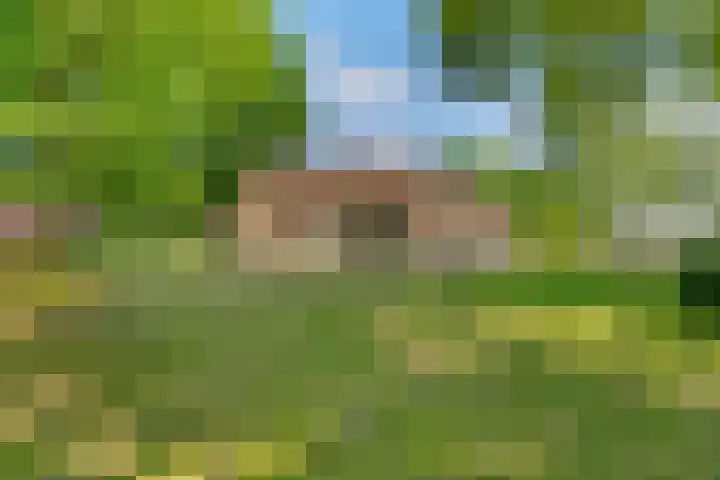 Tronderweg 3 Makkinga thumbnail 31