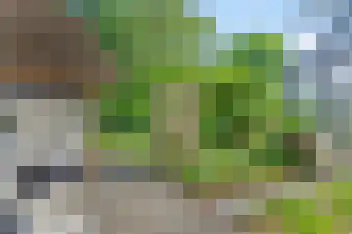 Tronderweg 3 Makkinga thumbnail 32