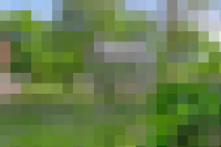 Tronderweg 3 Makkinga thumbnail 33
