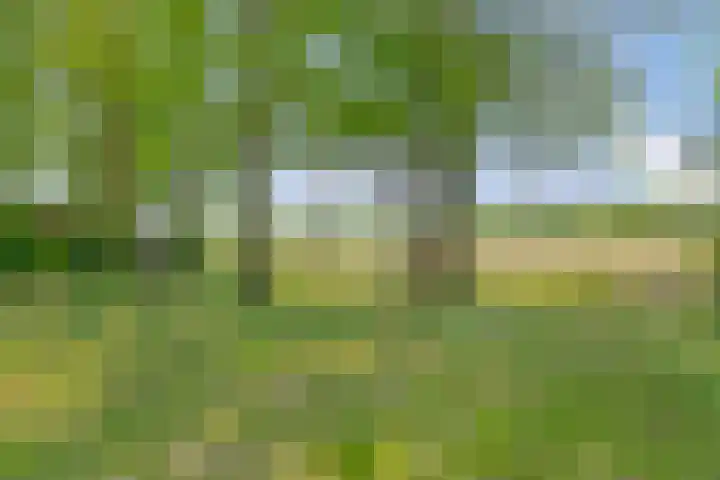 Tronderweg 3 Makkinga thumbnail 34