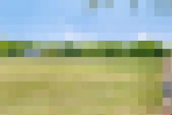 Tronderweg 3 Makkinga thumbnail 35