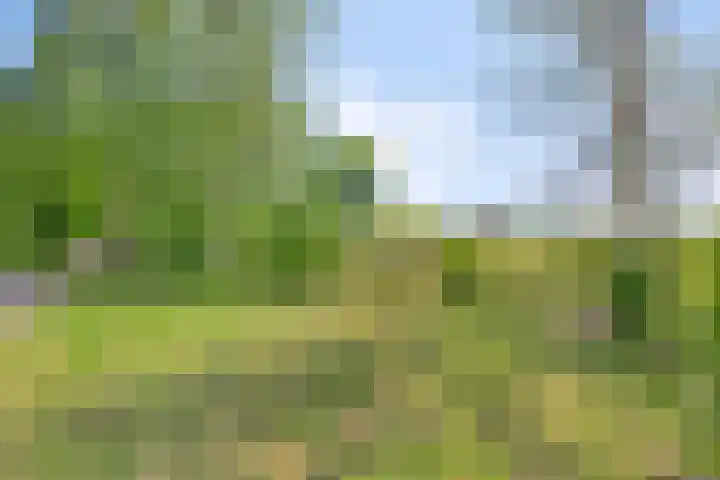 Tronderweg 3 Makkinga thumbnail 36