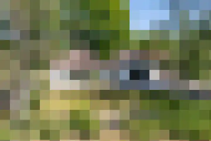 Tronderweg 3 Makkinga thumbnail 37