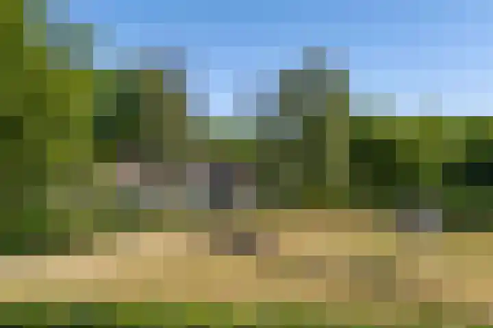Tronderweg 3 Makkinga thumbnail 40