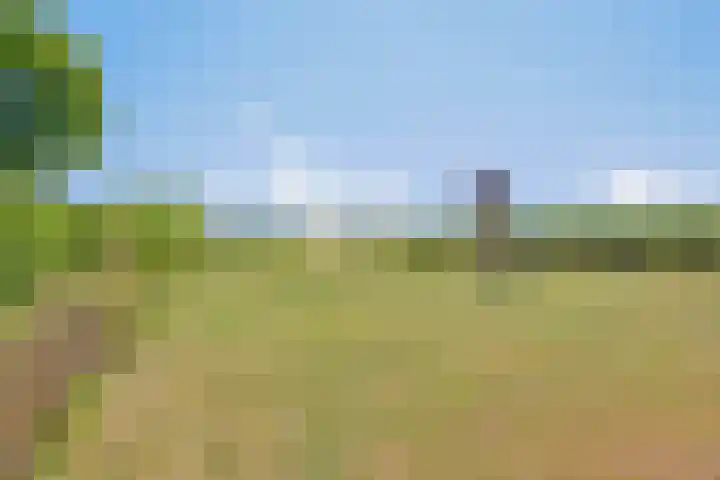 Tronderweg 3 Makkinga thumbnail 41