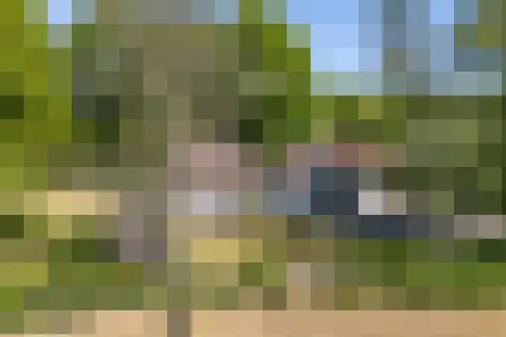 Tronderweg 3 Makkinga thumbnail 42
