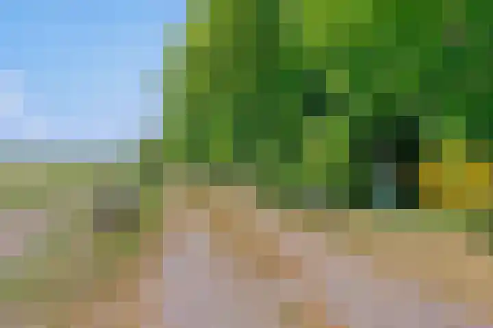 Tronderweg 3 Makkinga thumbnail 44
