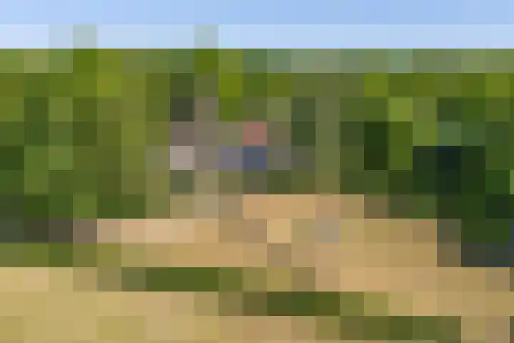 Tronderweg 3 Makkinga thumbnail 5