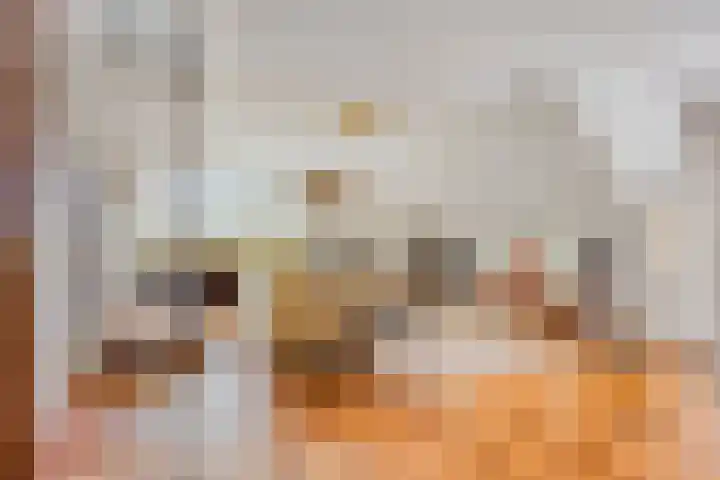 Tronderweg 3 Makkinga thumbnail 7