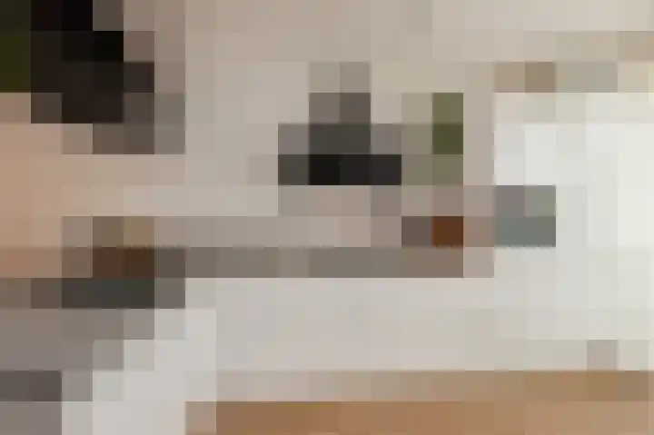 Trondheim 20 Klundert thumbnail 14