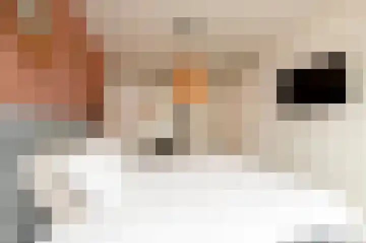 Trondheim 20 Klundert thumbnail 22
