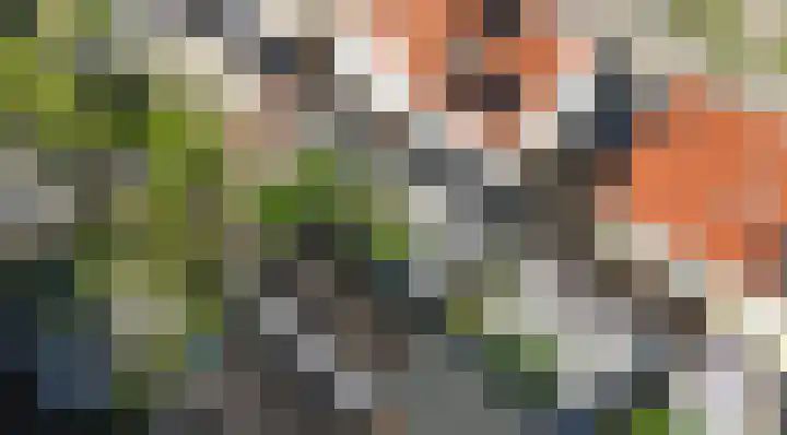 Trondheim 20 Klundert thumbnail 42