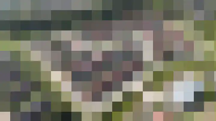 Trondheim 20 Klundert thumbnail 47