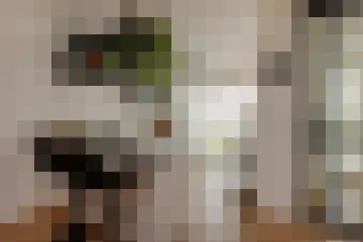 Trondheim 20 Klundert thumbnail 5