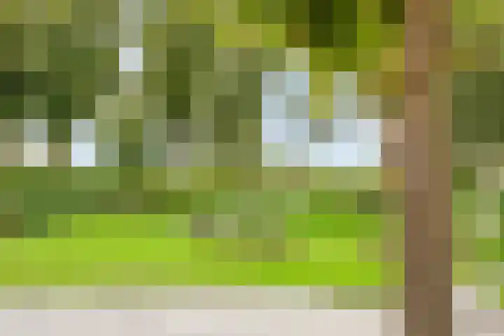 Trondheim 20 Klundert thumbnail 52