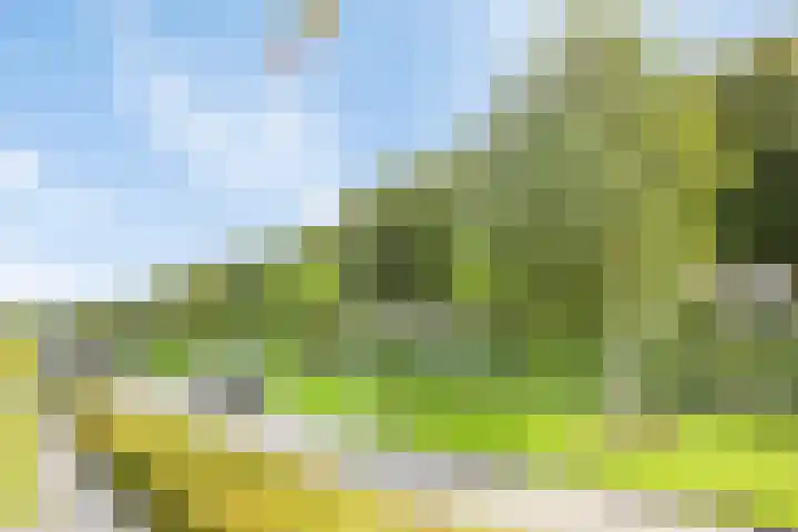 Trondheim 20 Klundert thumbnail 54