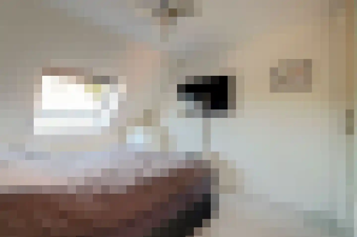 Trondheimpad 21 Rotterdam thumbnail 18