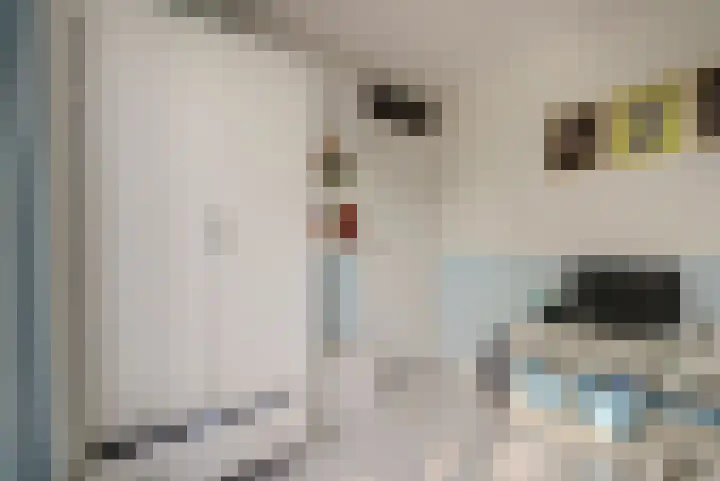 Trondheimpad 21 Rotterdam thumbnail 21