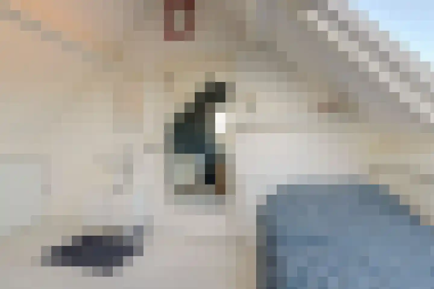 Trondheimpad 21 Rotterdam thumbnail 31