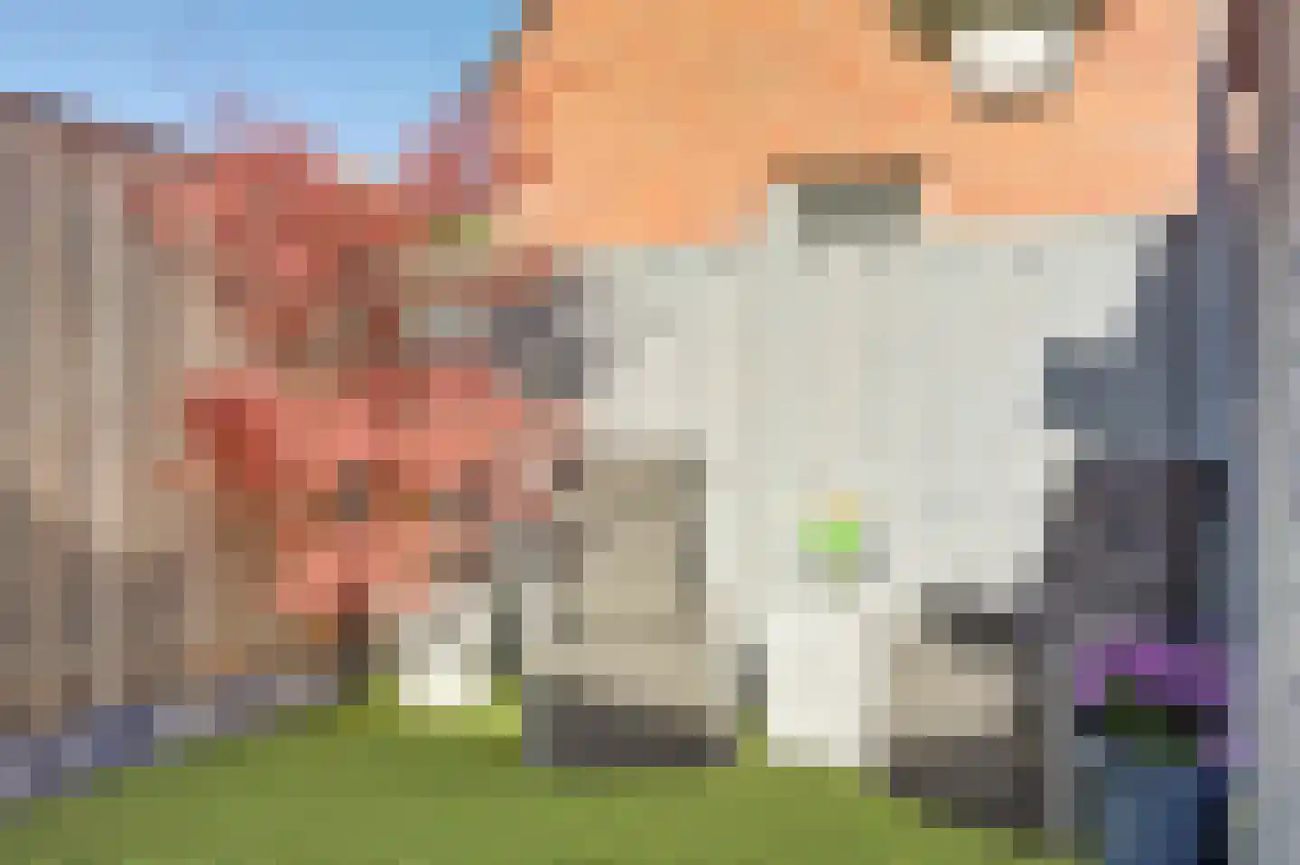 Trondheimpad 21 Rotterdam thumbnail 36