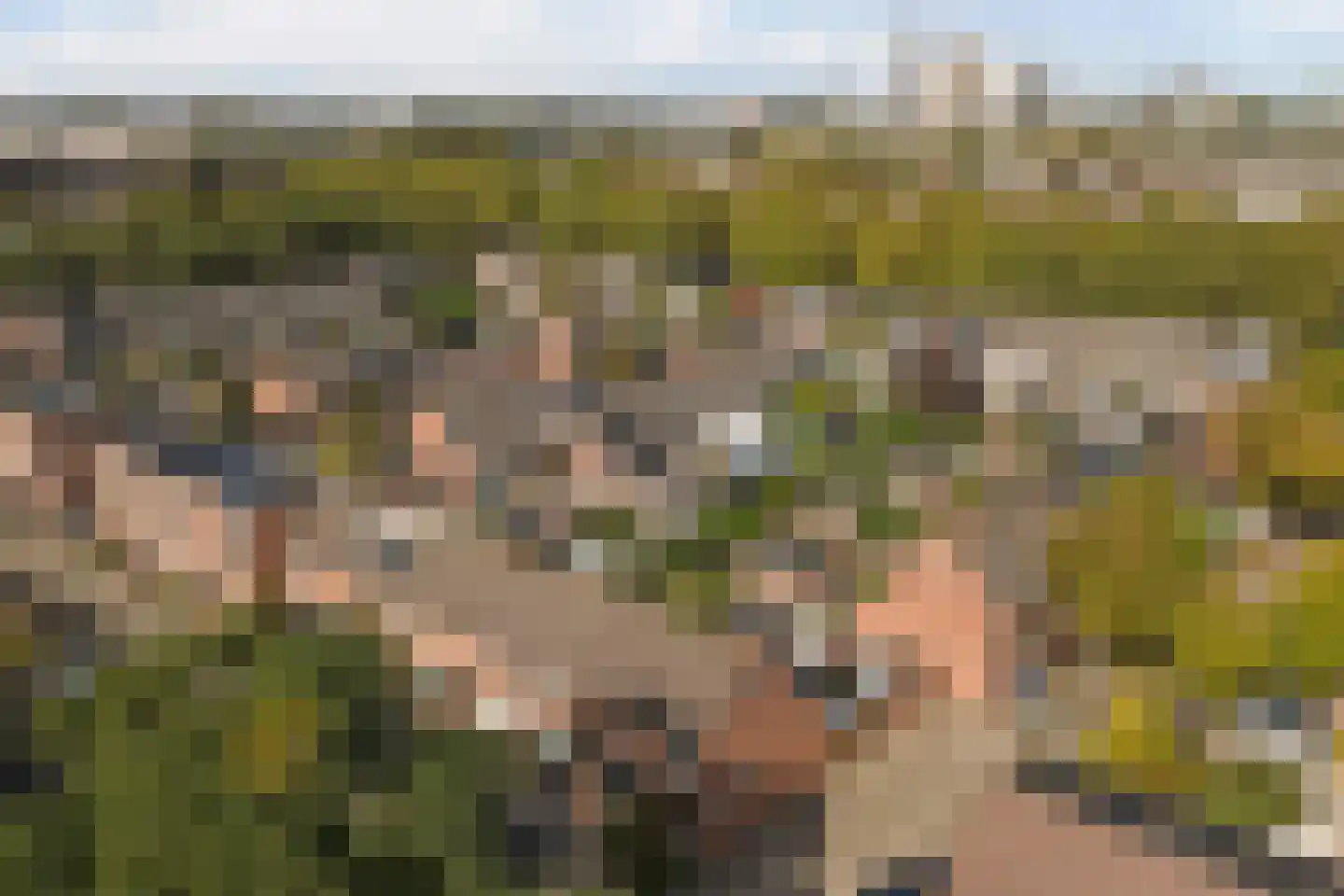 Trondheimpad 21 Rotterdam thumbnail 42