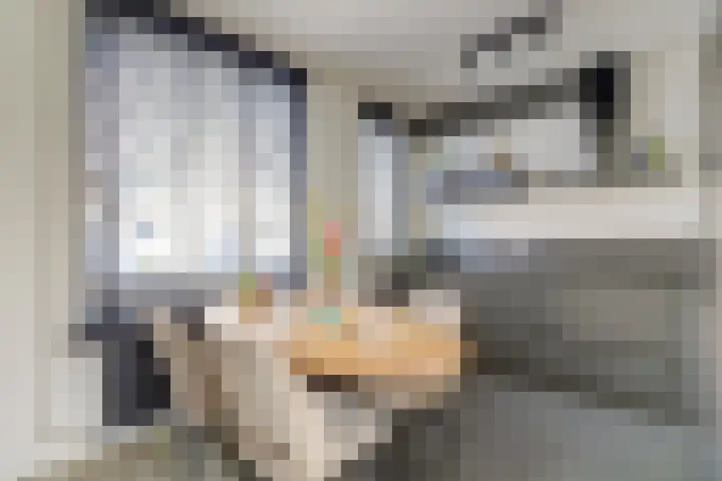 Trondheimpad 21 Rotterdam thumbnail 7