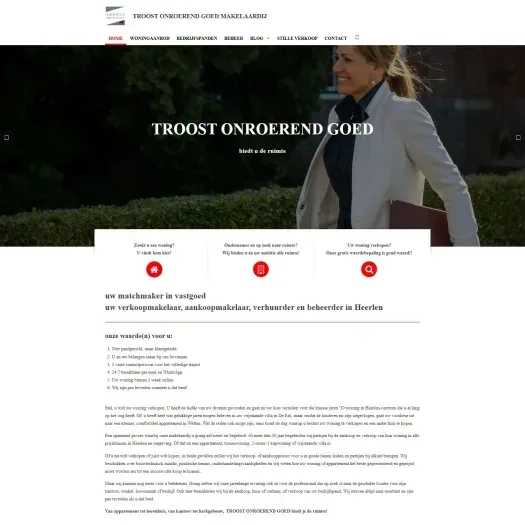 Capture d'écran du site web de www.troost-onroerendgoed.nl